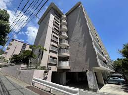 熊内スカイハイツ