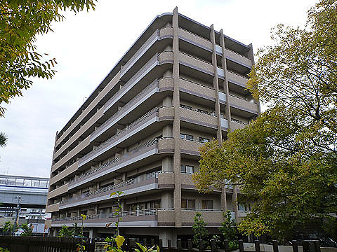 ネバーランド御影石屋川公園